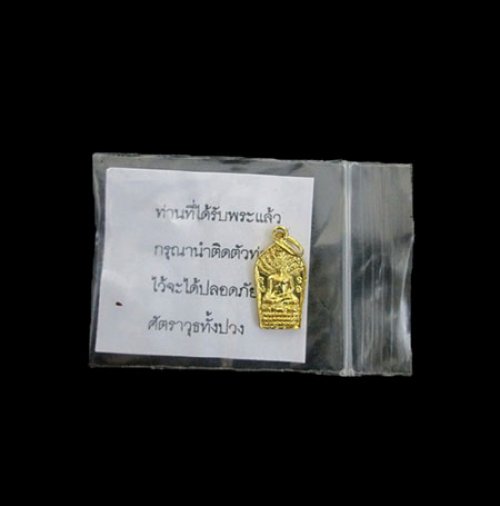 เหรียญปรกไพรีพินาศรุ่นแรก หลวงปู่มีชัย กามฉินโท ปี2548